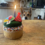 Alameda Post - A dog looks up at a table where there is a small birthday cake or large cupcake with a lit candle.
