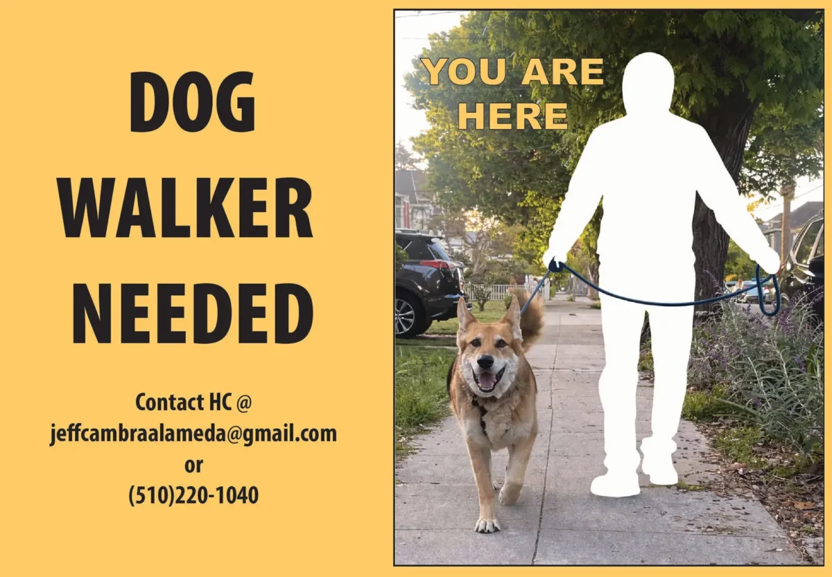 Alameda Post - Dog walker needed