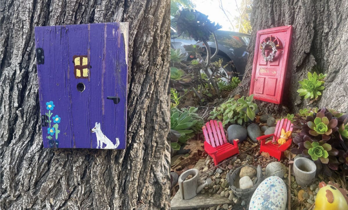 Alameda Post - Fairy doors at the base of trees. 