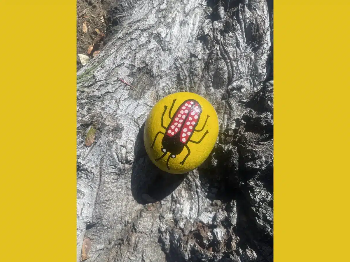 Alameda Post - a rock painted yellow with a beetle