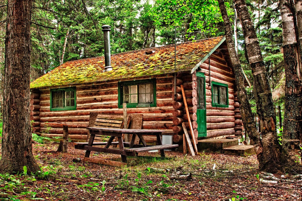 Alameda Post - A log cabin in the woods.