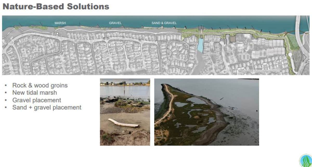 Alameda Post - A powerpoint slide of Bay Farm Island and examples of natural shoreline solutions like sand, gravel, rock, and tidal marsh. 