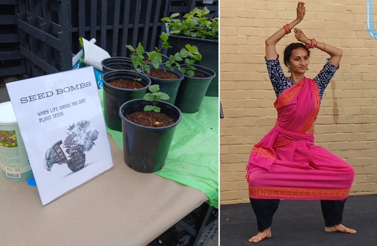 Alameda Post - A table with potted plants and a photo of a woman dancing. 