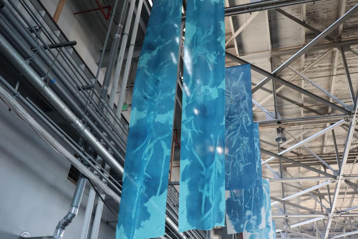Alameda Post Banners with printed seaweed hang from a tall industrial ceiling.