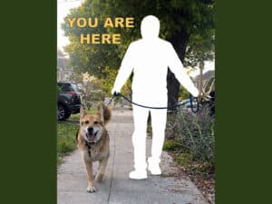 Alameda Post - a silhouette walking a dog with the text "you are here"