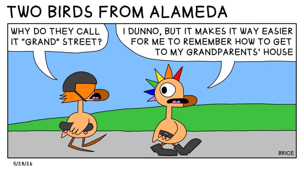 Alameda Post - Two Birds From Alameda for May 28, 2026. Only panel: Two teenage goslings walk together. One has long hair and a skateboard, and the other has leather boots and a rainbow mohawk. One asks, "Why do they call it Grand street?" The other answers, "I dunno, but it makes it way easier for me to remember how to get to my grandparents' house."