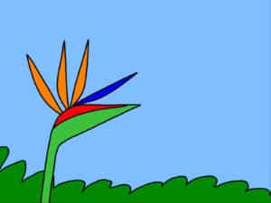 Alameda Post - A cartoon bird of paradise plant.