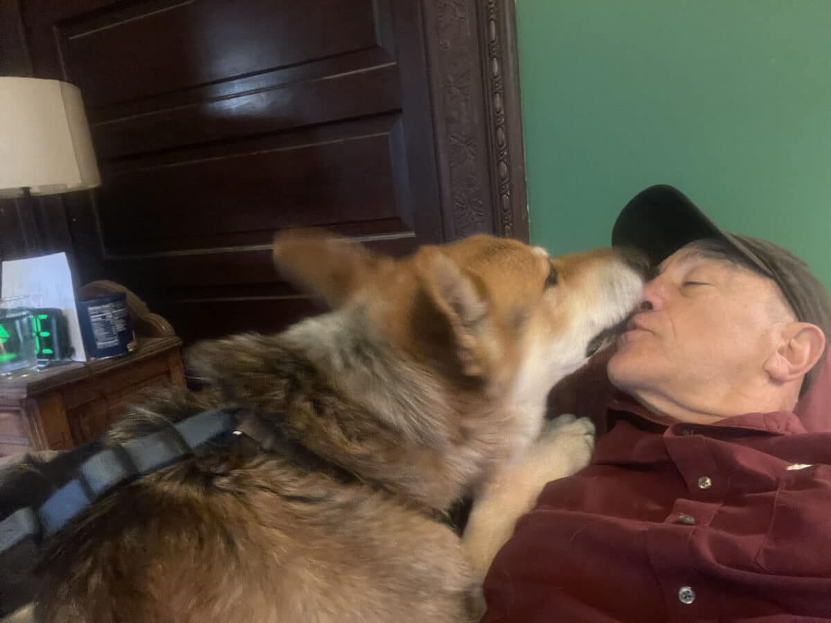 Alameda Post - Mouf the dog happily greets his human companion by licking his face while his human reclines. 