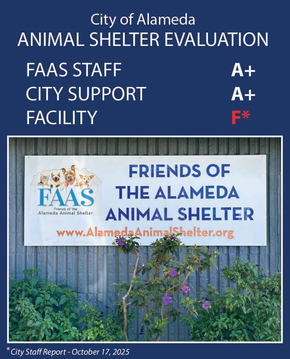 Alameda Post - A photo of the F.A.A.S. Building and a report card that gives the staff and City support a grade of A plus, but the Facility gets a rating of F.