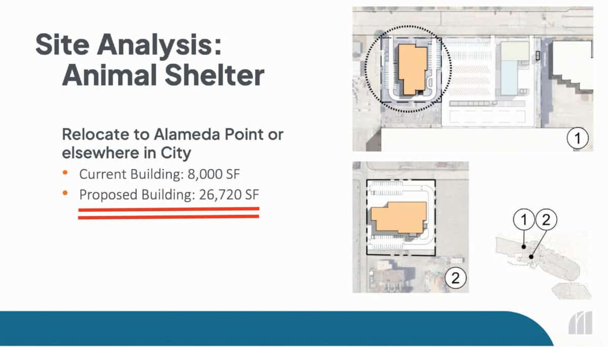 Alameda Post - A meeting slide from a City Council meeting that is titled "Site Analysis: Animal Shelter."