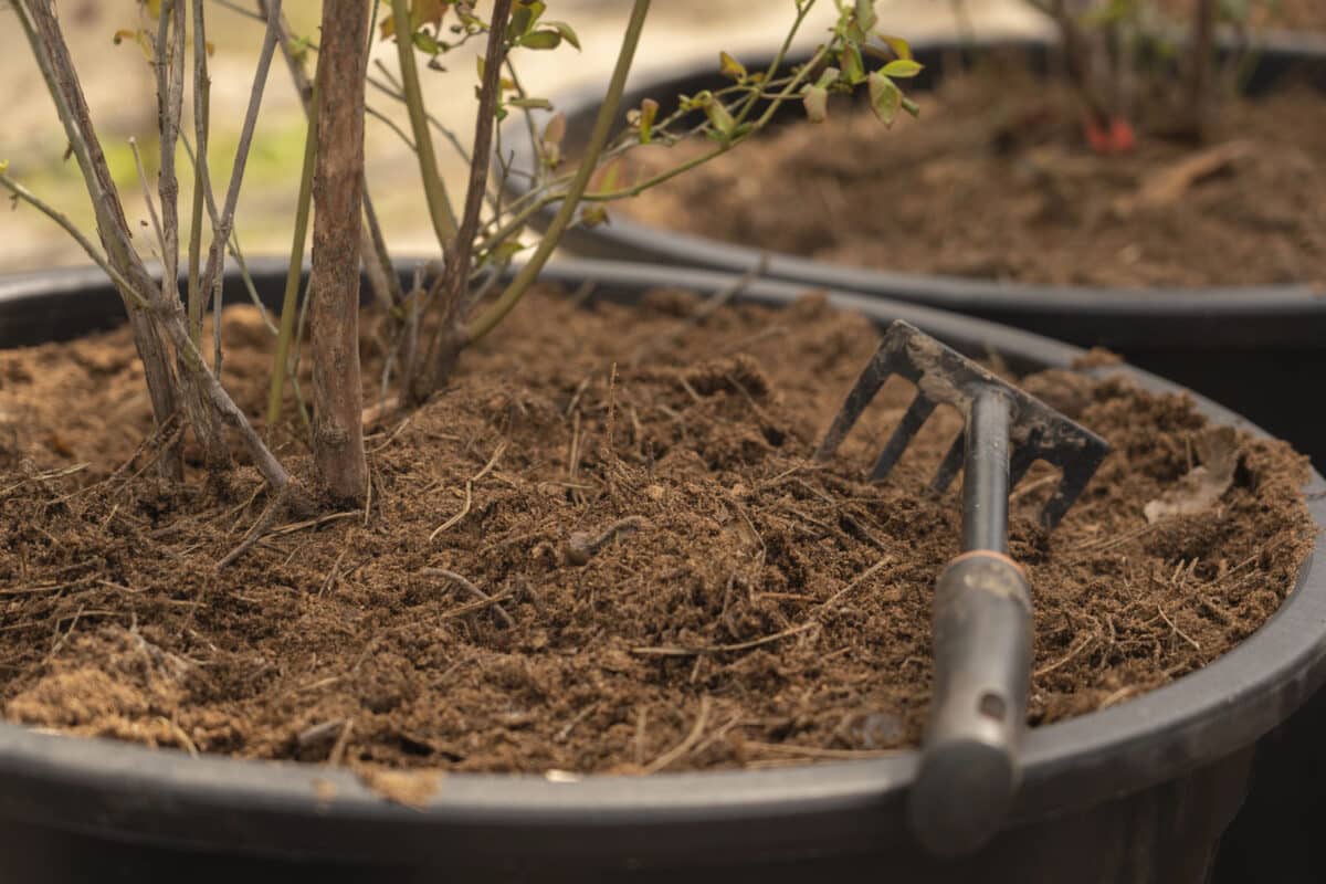 Alameda Post - A large gardening container with a small gardening tool and a plant.