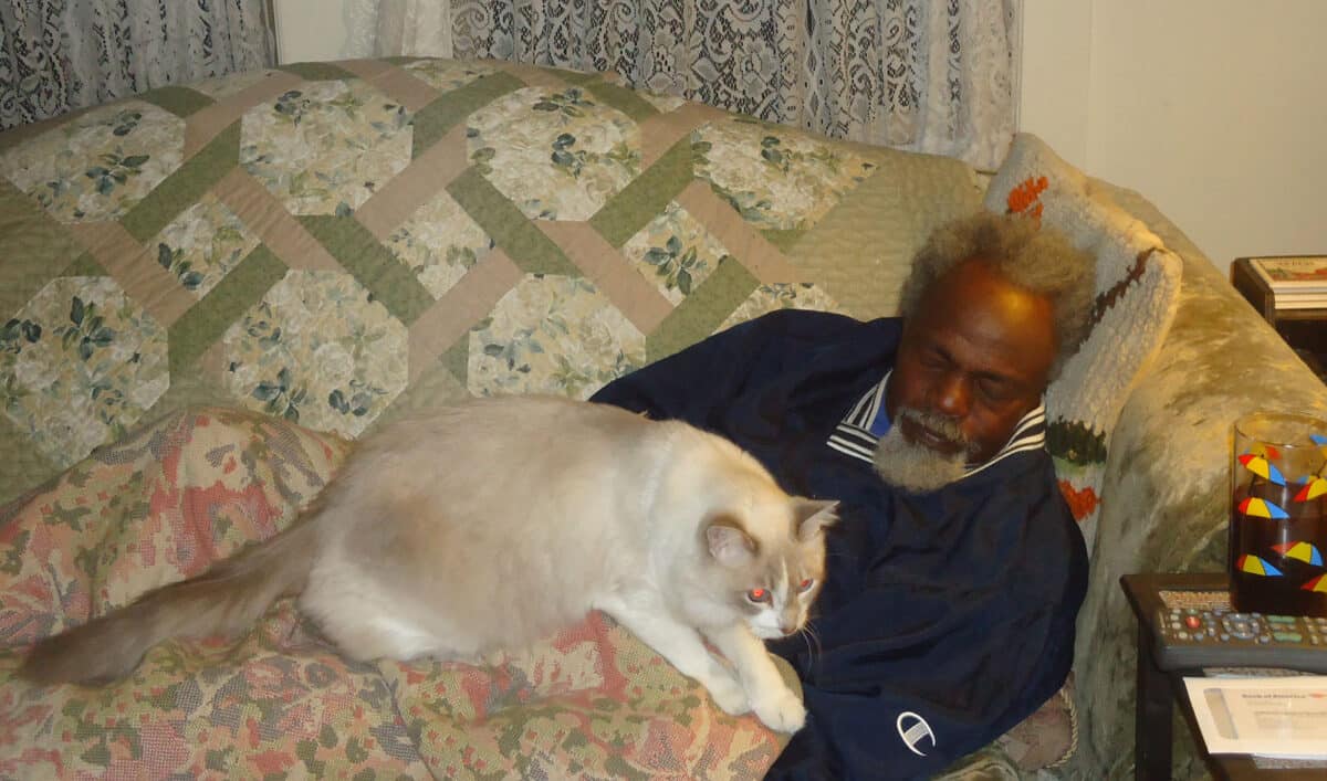 Alameda Post - A man sleeps on the couch with a cat on his chest.