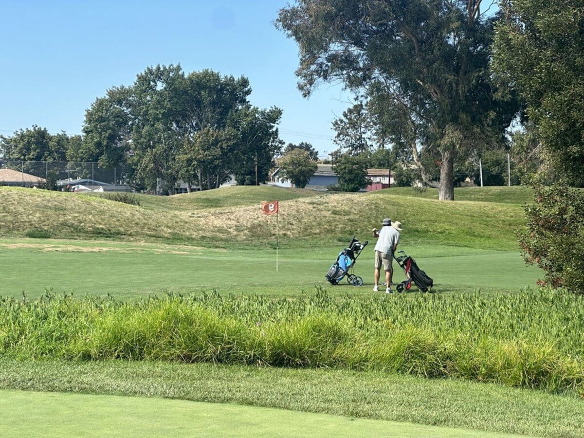 Alameda Post - A golfer on Corica Park Golf Course. 