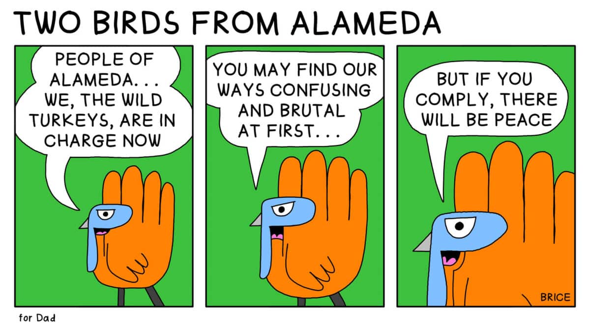 Alameda Post - Two Birds from Alameda for June 4, 2026. In all three panels, a turkey stands in the frame. The image zooms in with every statement. The turkey says, "People of Alameda: We, the wild turkeys, are in charge now. You may find our ways confusing and brutal at first, but if you comply, there will be peace."