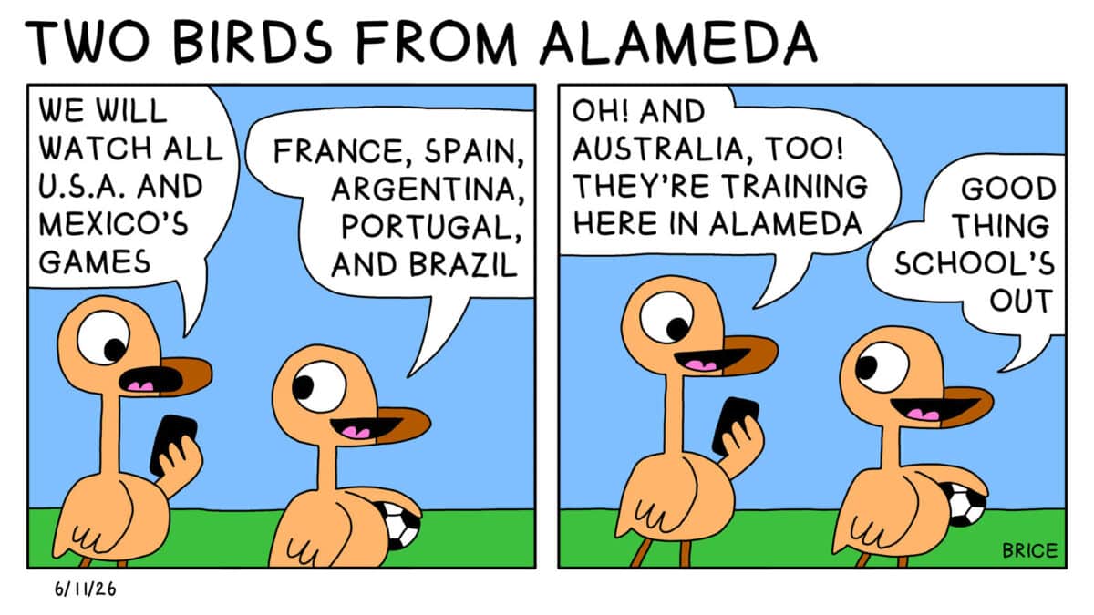 Alameda Post - Two young birds from Two Birds from Alameda walk together. One holds a smart phone and the other holds a soccer ball. Panel 1: The bird with the phone says, "We will watch all U.S.A. and Mexico's games." The second bird replies, "France, Spain, Argentina, Portugal, and Brazil." Second panel: The bird with the phone says, "Oh! and Australia too! They're training here in Alameda." The second bird replies, "Good thing school's out."