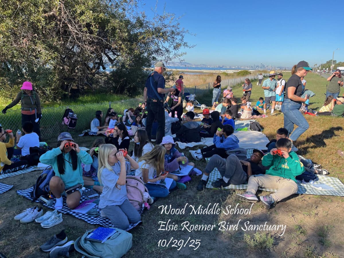 Alameda Post - A large group of middle schoolers sit in the shade by the Elsie Roemer Bird Sanctuary and look through binoculars. 