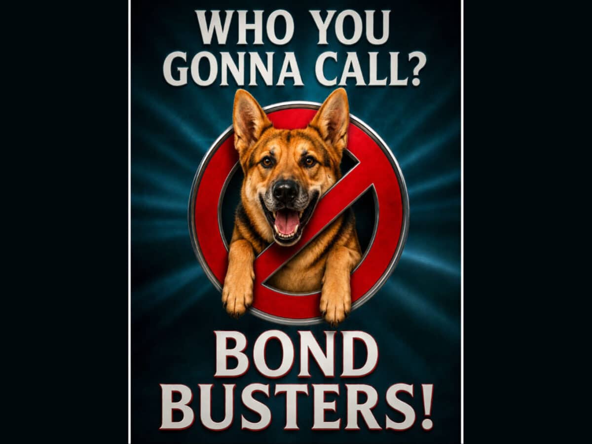 Alameda Post - An image of a cartoon dog in the style of the Ghost Busters that says "Who you gonna call? Bond Busters!"