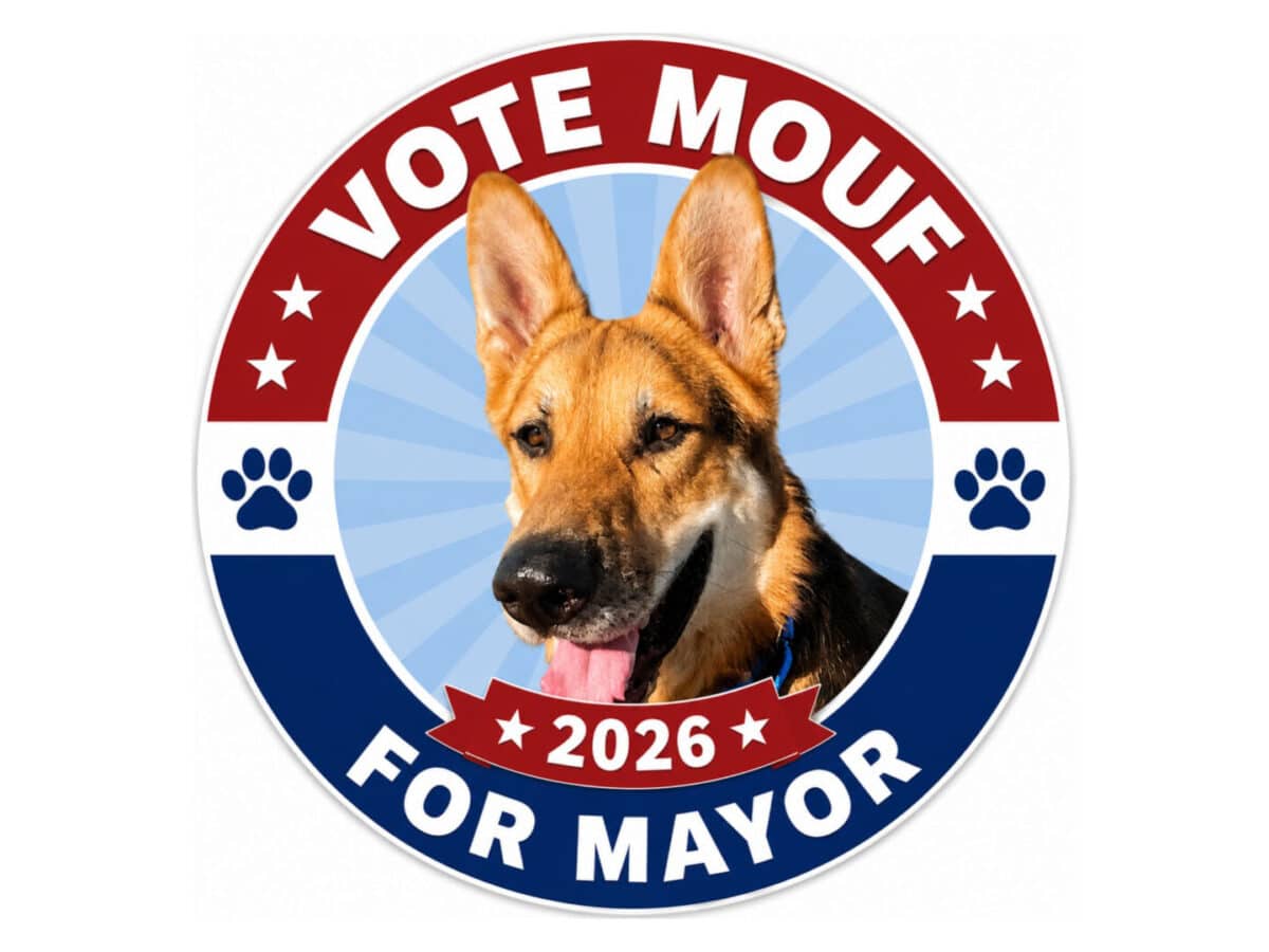 Alameda Post - An image that says Vote Mouf for Mayor 2026 with a photo of Mouf. 