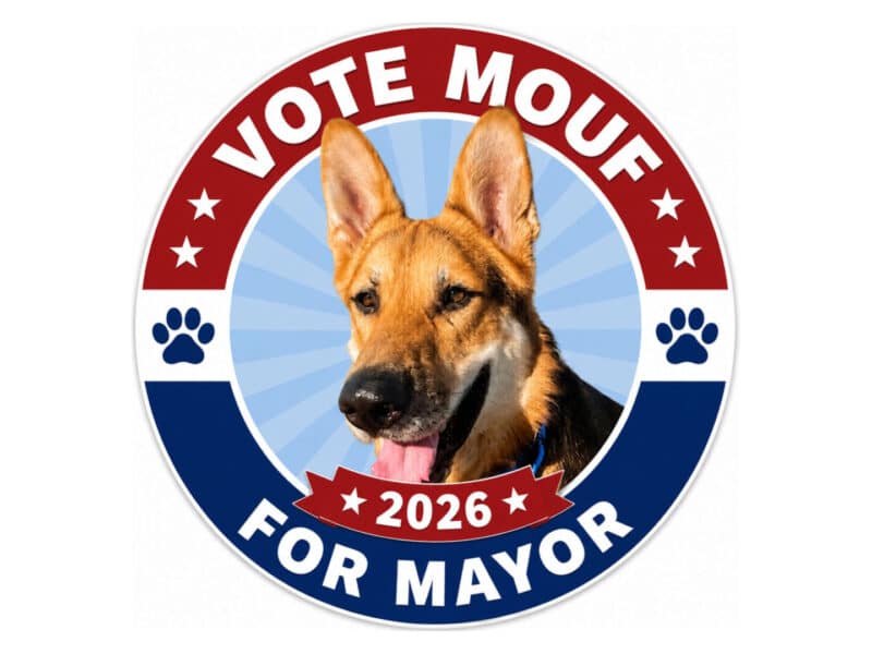 Alameda Post - An image that says Vote Mouf for Mayor 2026 with a photo of Mouf.