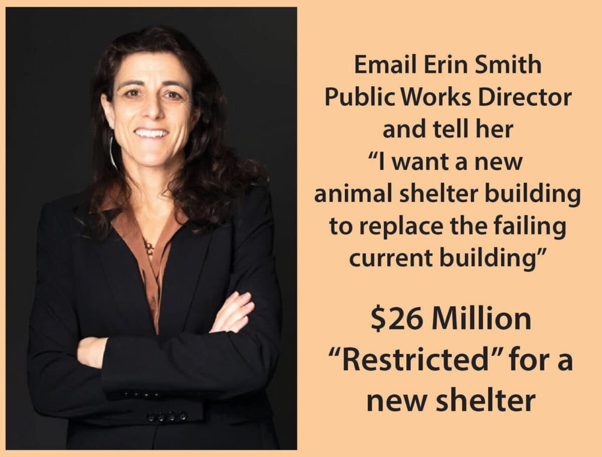 Alameda Post - A professional photo of a smiling woman and text that says Email Erin Smith Public Works Director and tell her "I want a new animal shelter building to replace the failing current building." 26 million dollars "restricted" for a new shelter.