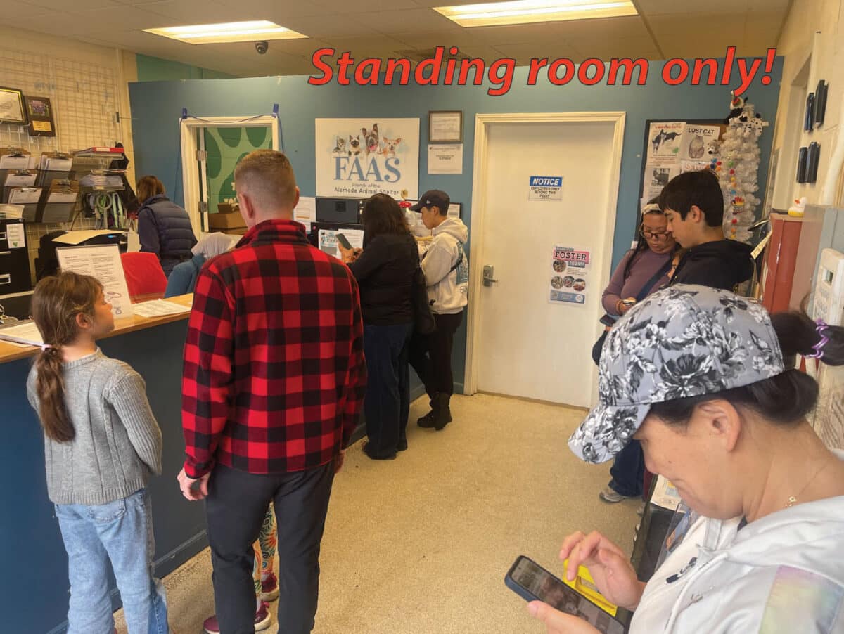 Alameda post - A photo of a small waiting room at F.A.A.S. with eight people standing and waiting. 