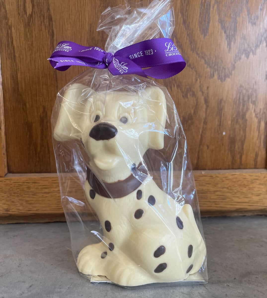 Alameda Post - A chocolate Dalmation. 