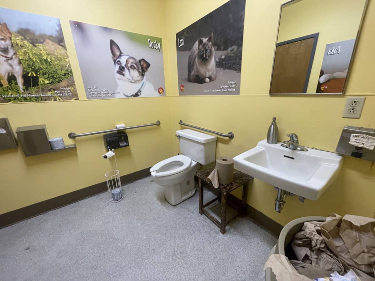 Alameda Post - A bathroom with a sink, toilet, and photos of animals on the walls.