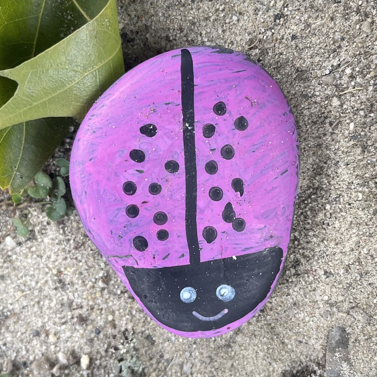 Alameda Post - A stone on the ground painted as a pink ladybug. 