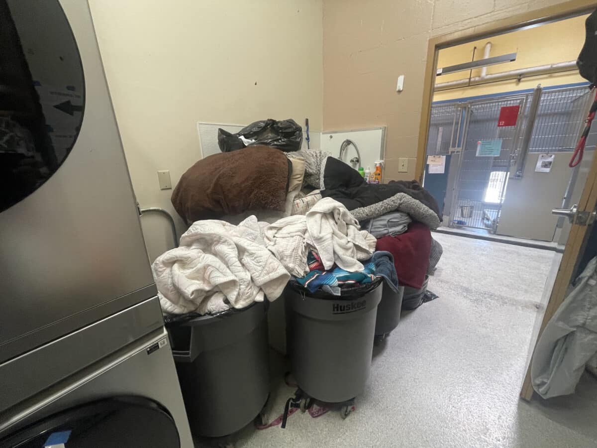 Alameda Post - Overflowing large trash bins full of laundry. 