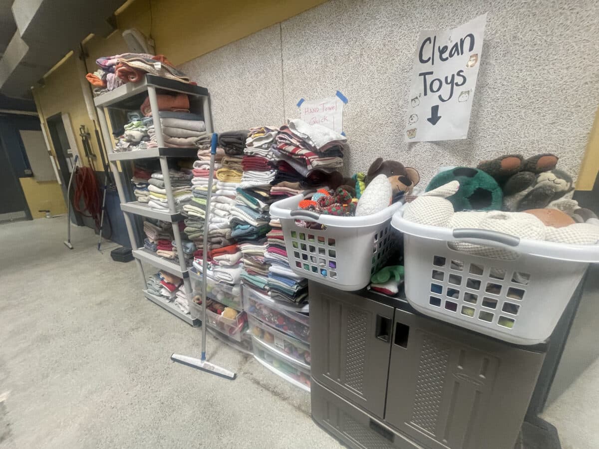Alameda Post - Overflowing organizing racks full of laundry and dog toys. 