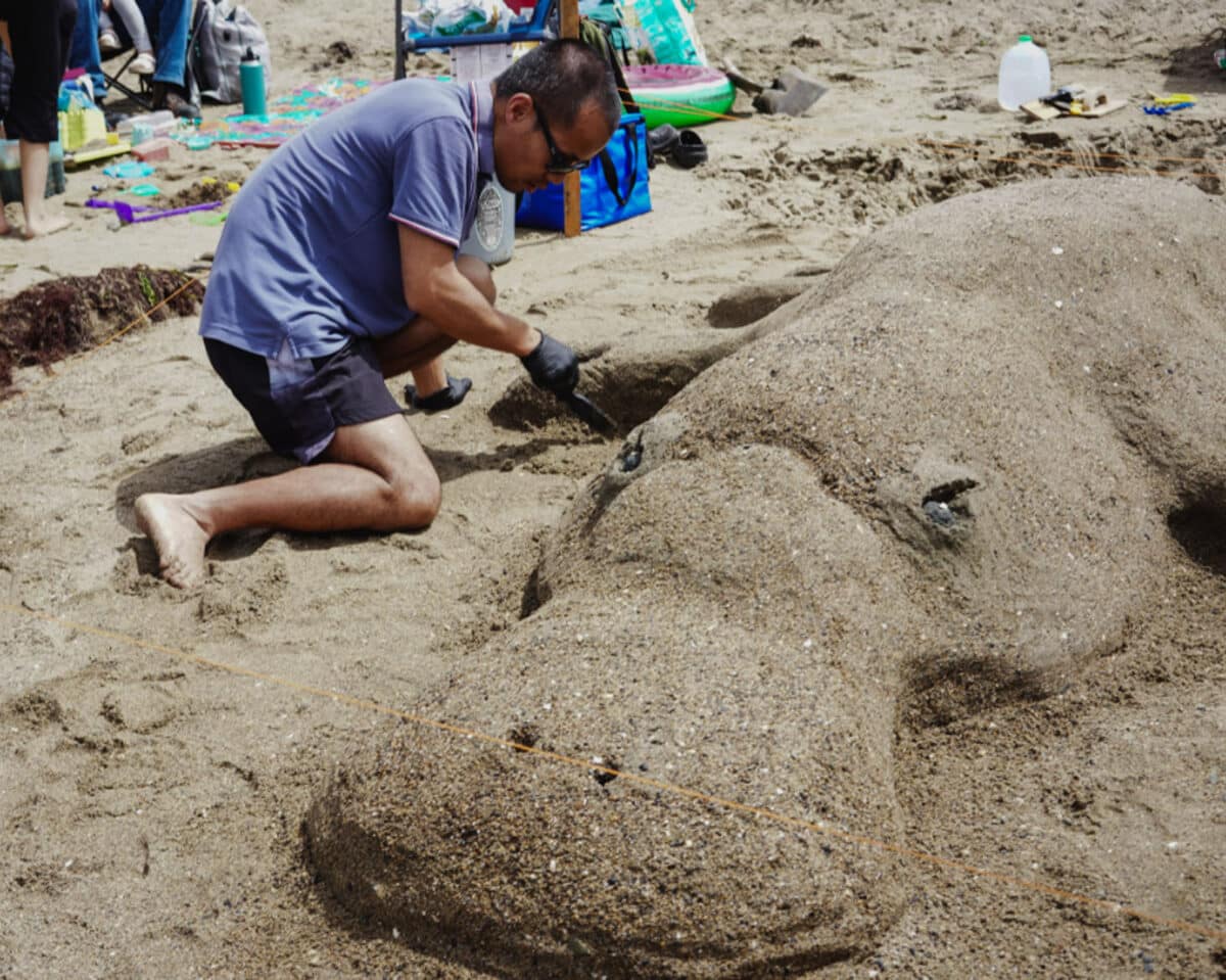 Alameda Post - A man works on a sand sculpture of a platypus. 