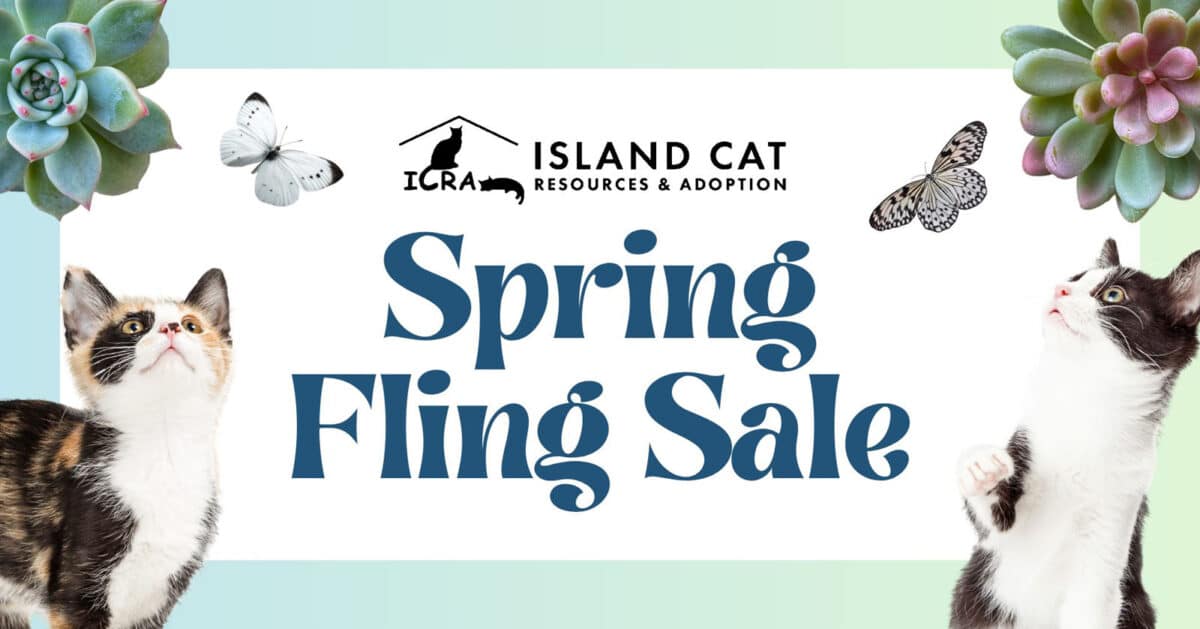 Alameda Post - The poster for the I.C.R.A. Spring Fling Sale.