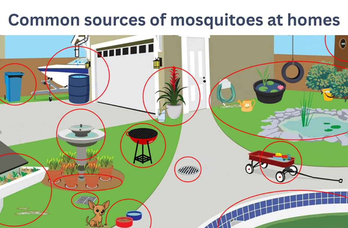 Alameda Post - A drawing of a yard with red circles around ares like the bird bath and pet water bowl that says "common sources of mosquitos at homes."