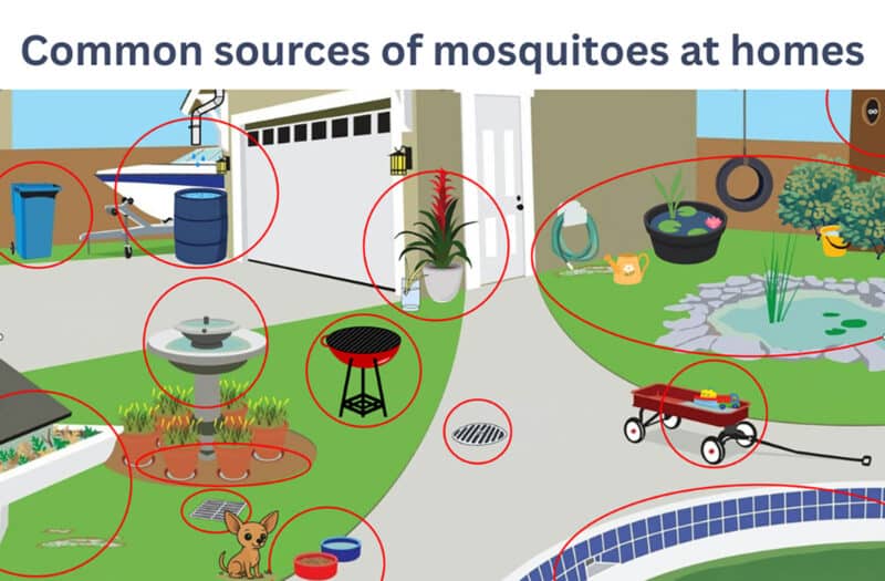 Alameda Post - A drawing of a yard with red circles around ares like the bird bath and pet water bowl that says "common sources of mosquitos at homes."