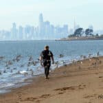 Alameda Post - A person walks along the Alameda shoreline with San Francisco in the background. Birds fly around them.