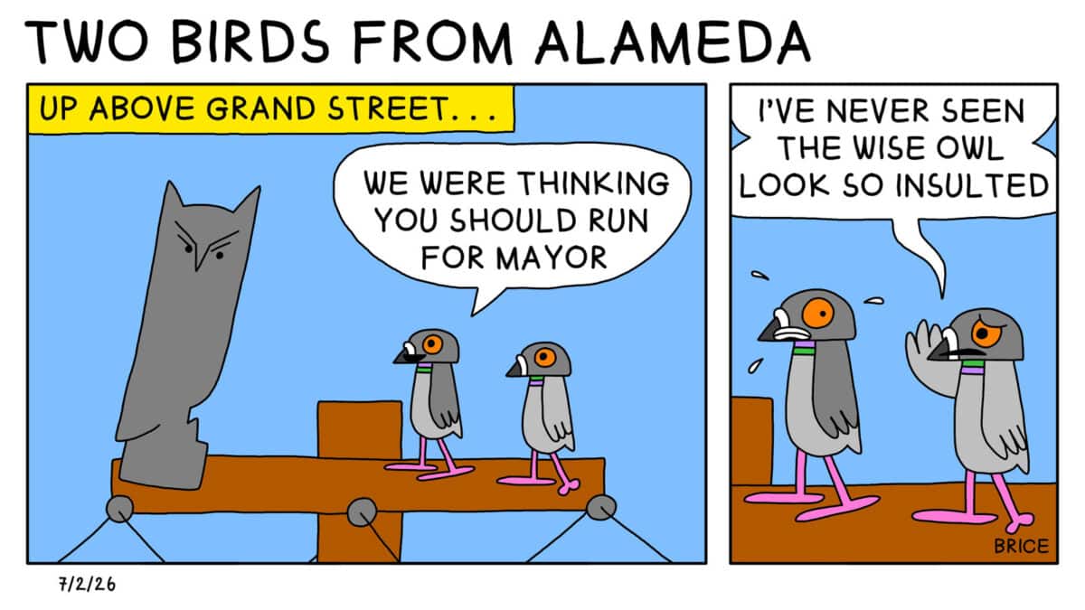 Alameda Post - Two Birds from Alameda for July 2, 2026. First panel: Two pigeons stand on a power line next to what appears to be a fake owl. Across the top, a box of text says, "Up Above Grand Street." One pigeon says, "We were thinking you should run for mayor." Second panel: The other pigeon whispers to its companion, "I've never seen the wise owl so insulted."