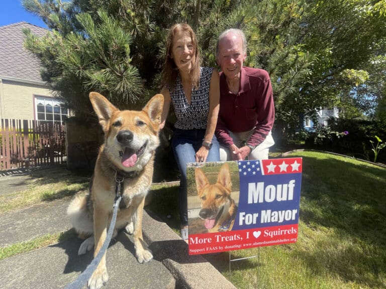 Alameda Post - Mouf the dog sits next to his campaign sign and two smiling people.