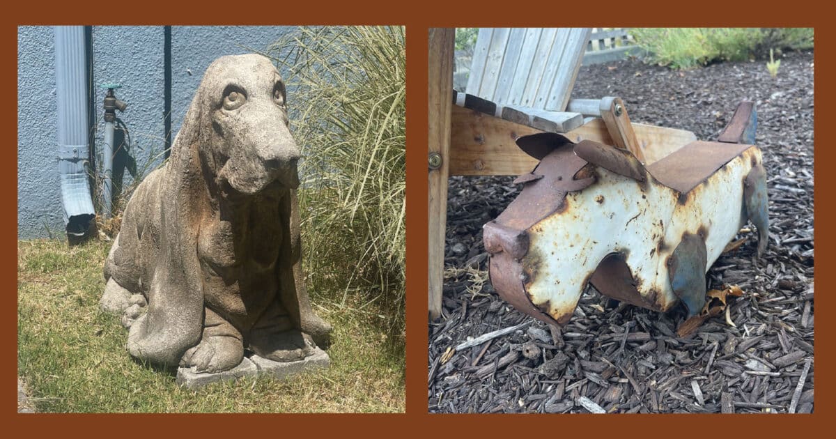 Alameda Post - Sculptures of dogs in the front yard of homes. 
