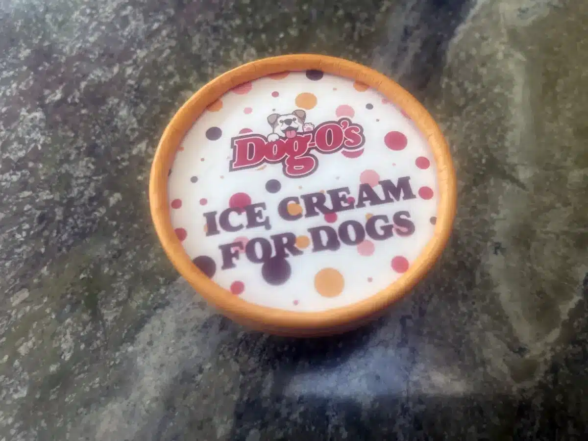 Alameda Post - A pint of ice cream that says Dog O's Ice Cream for Dogs. 