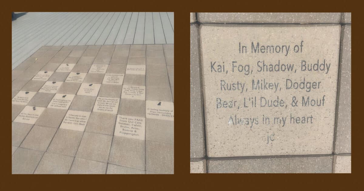 Alameda Post - Custom bricks at the F.A.A.S. medical center. One of them says, "In memory of Kai, Fog, Shadow, Buddy, Rusty, Mikey, Dodger, Bear, Lil Dude, and Mouf. Always in my heart. J.C. 
