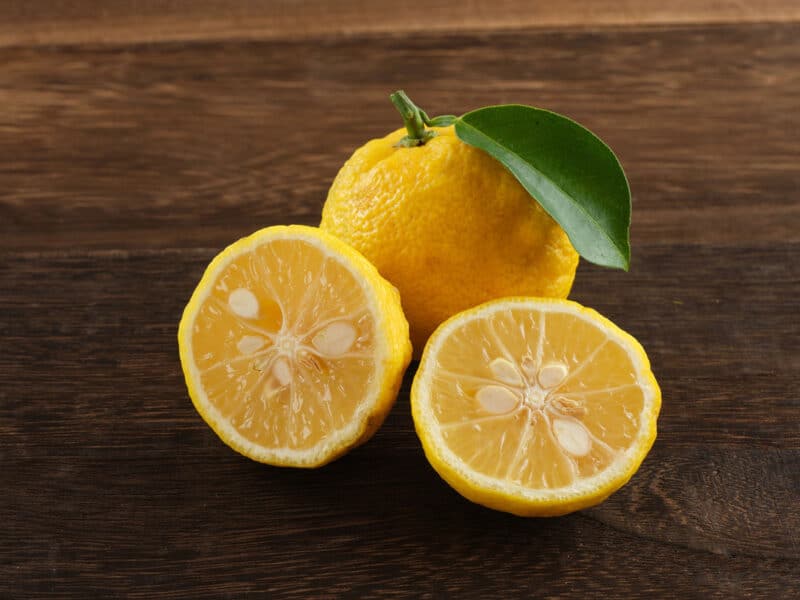 Alameda Post - Cut and whole yuzu on a table