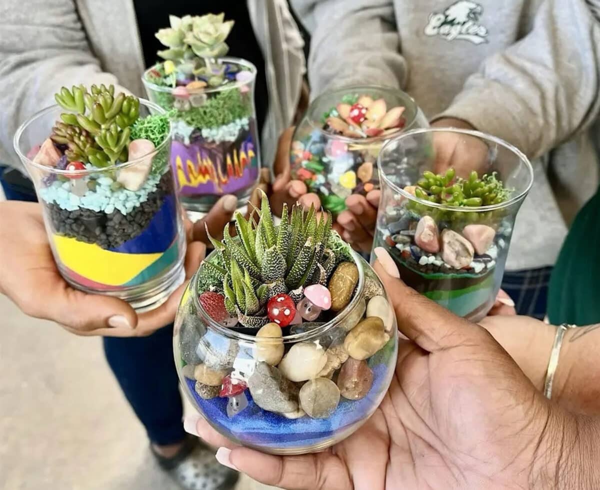 Alameda Post - A close up photo of people holding five small terrariums together.