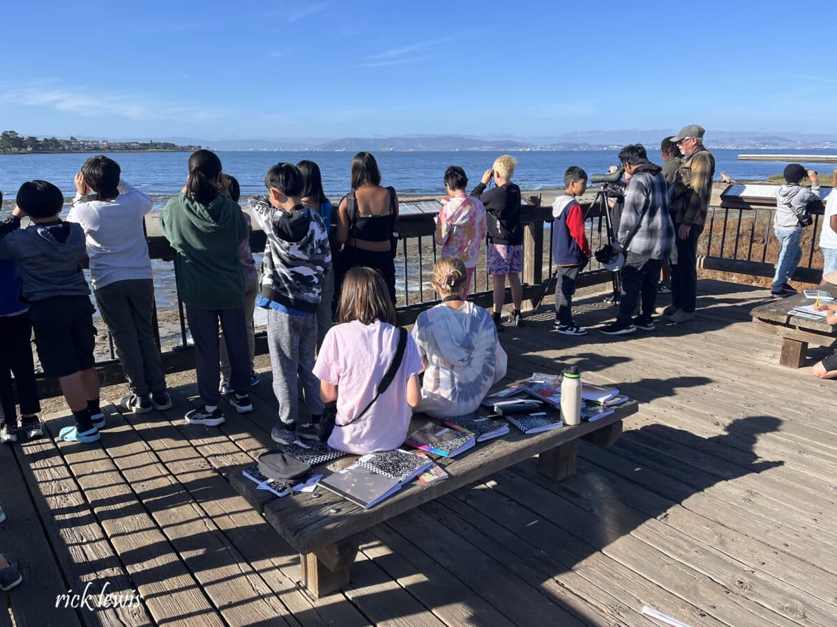 Alameda Post - A ground of schoolchildren stand on an observational platform and look at birds in the water.