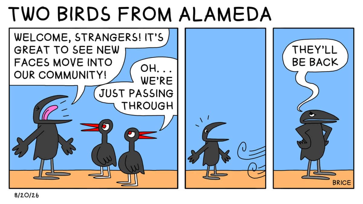 Two Birds from Alameda for August 20, 2026. First panel: A crow talks to two smaller birds, saying, "Welcome strangers! It's great to see new faces move into our community!" One of the birds answers, "Oh… we're just passing through." Second panel: The small birds swoosh away leaving Crow alone. Third panel: Crow stands with hands on hips and says, "They'll be back."