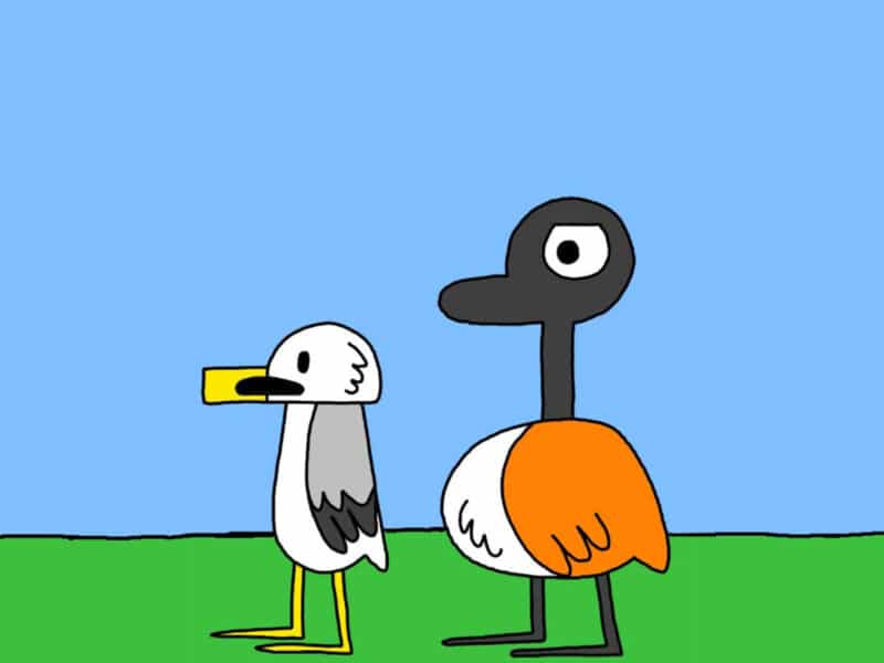 Alameda Post - Seagull and Goose from Two Birds from Alameda stand together.