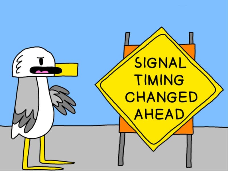 Alameda Post - Seagull from Two Birds from Alameda stands in front of a road sign that says "Signal Timing Changed Ahead."