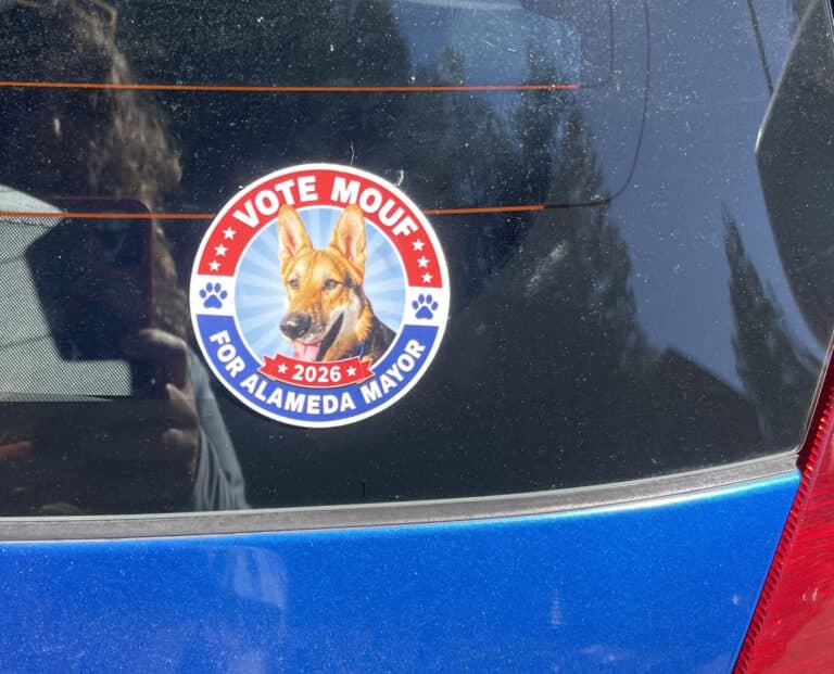 Alameda Post - A Mouf for Mayor sticker on the back of a car window.