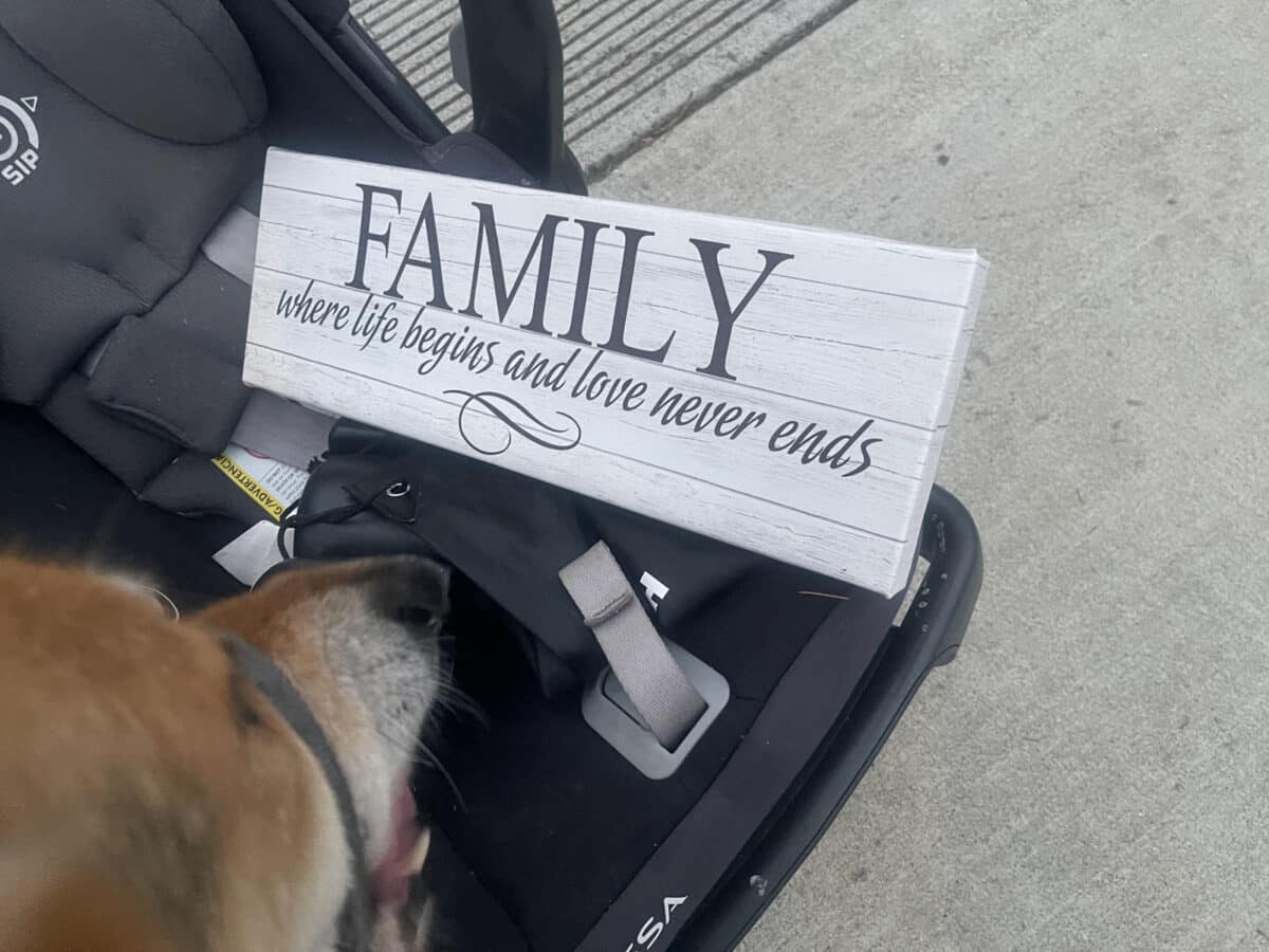 Alameda Post - Mouf the dog sniffs a baby car seat and a sign that are on the side of the road for anyone to take. The sign says "Family.. Where life begins and love never ends." 
