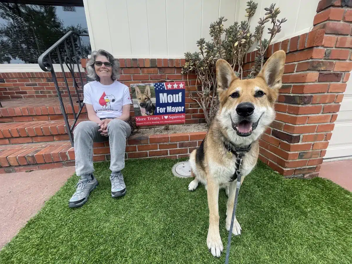 Alameda Post - Mouf the dog and his friend pose with a campaign sign