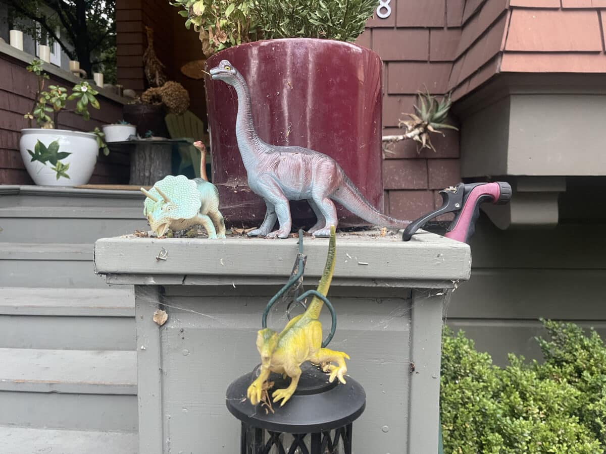 Alameda Post - A collection of toy dinosaurs on a front railing.